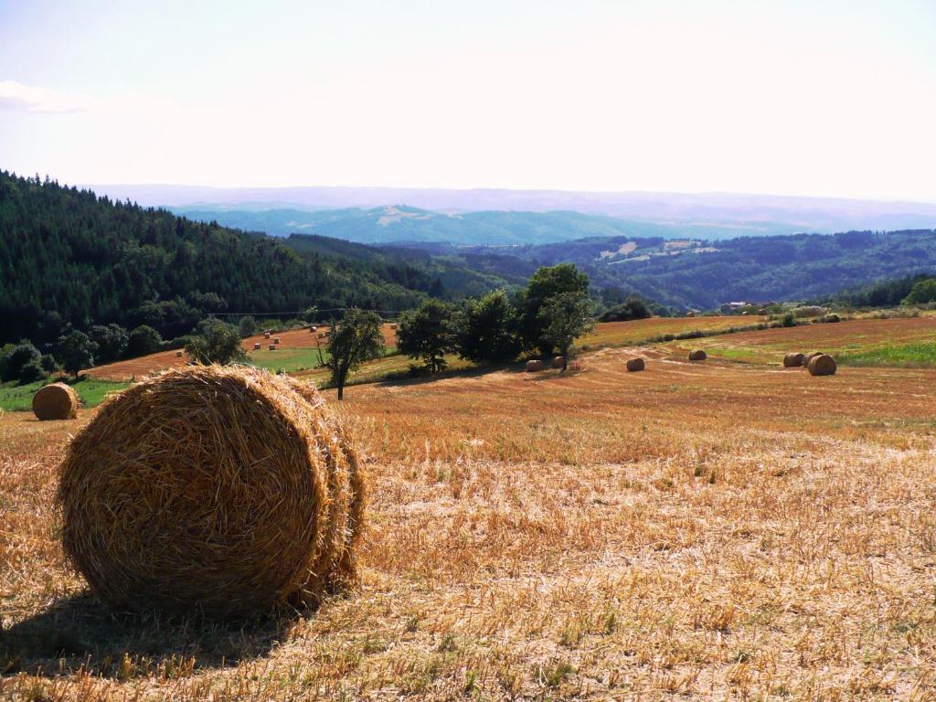 Bed & Breakfast Le Grand Trianon Saint-Didier-sur-Doulon